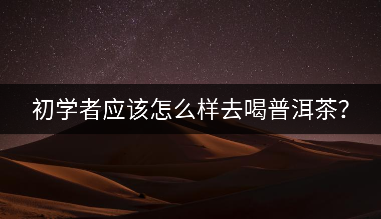 初學(xué)者應(yīng)該怎么樣去喝普洱茶？