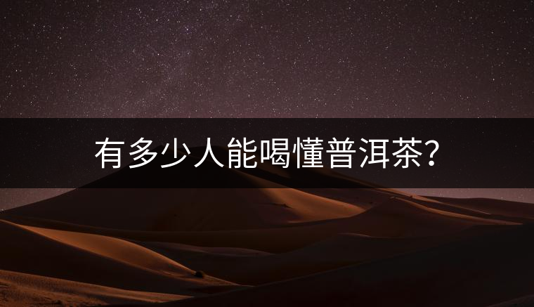 有多少人能喝懂普洱茶？