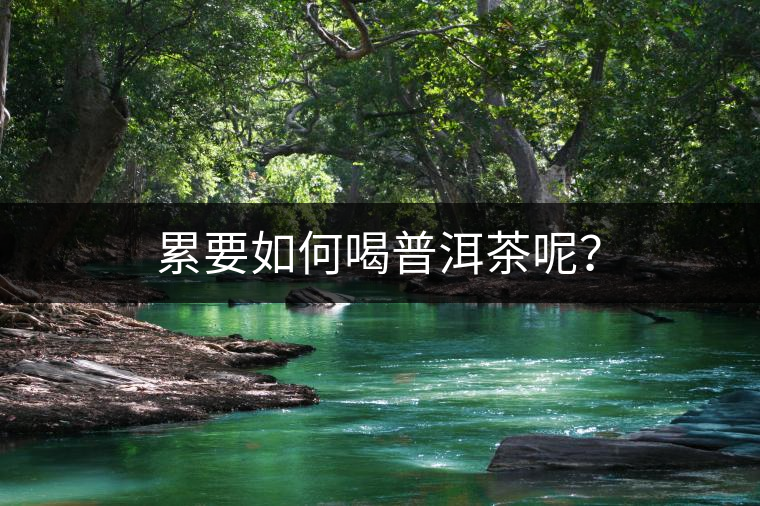 累要如何喝普洱茶呢？