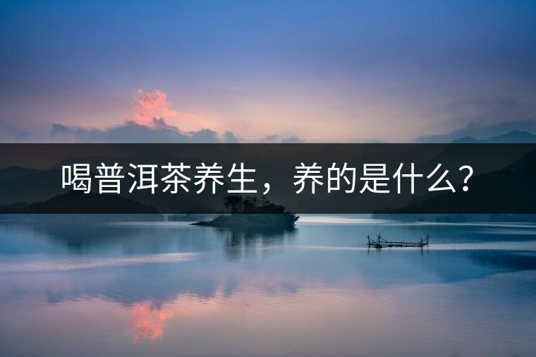 喝普洱茶養(yǎng)生，養(yǎng)的是什么？