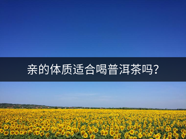親的體質適合喝普洱茶嗎？