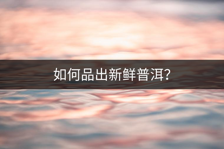 如何品出新鮮普洱？