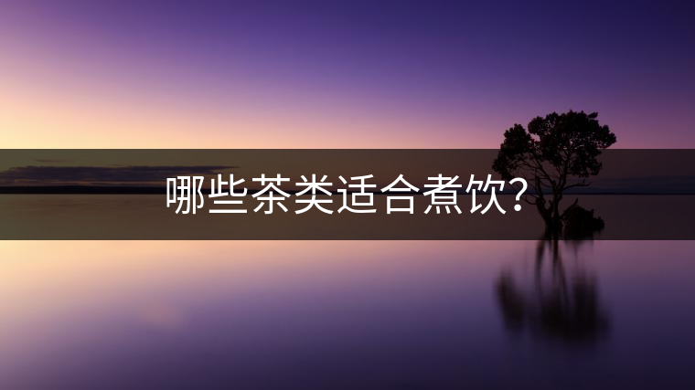 哪些茶類適合煮飲？
