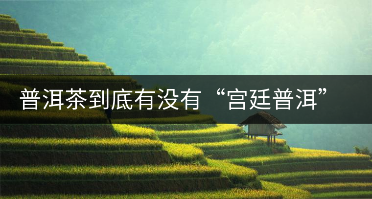 普洱茶到底有沒有“宮廷普洱”一說？它到底是什么？