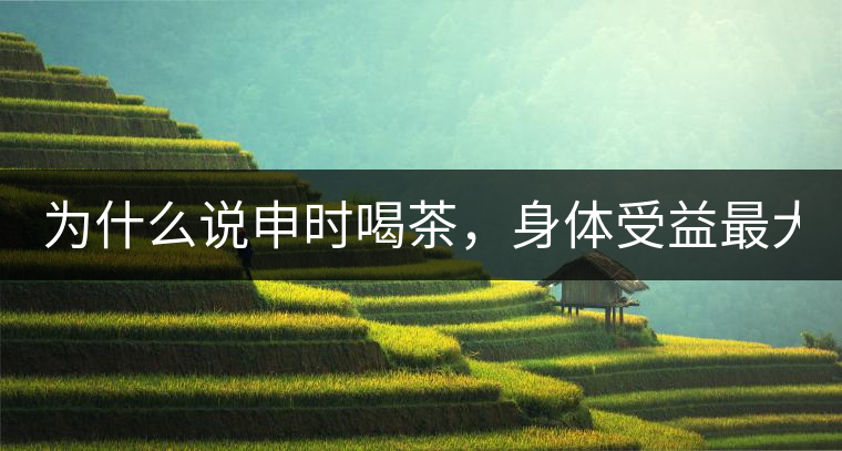 為什么說申時喝茶，身體受益最大？