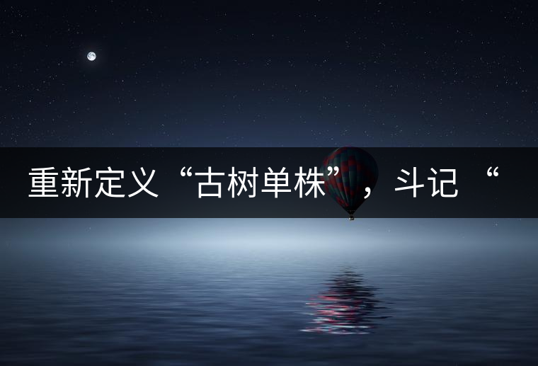 重新定義“古樹單株”，斗記 “超級審評”有償招募告罄在即！