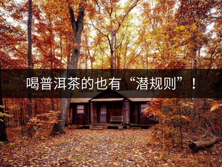 喝普洱茶的也有“潛規(guī)則”！