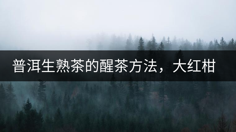 普洱生熟茶的醒茶方法，大紅柑與小青柑對比