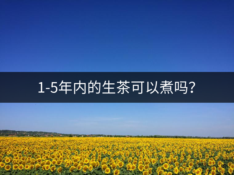 1-5年內(nèi)的生茶可以煮嗎？