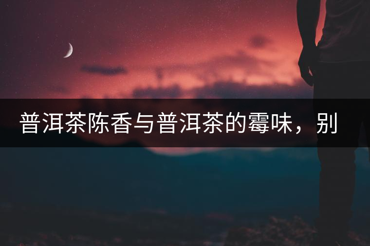 普洱茶陳香與普洱茶的霉味，別把它們給搞混了