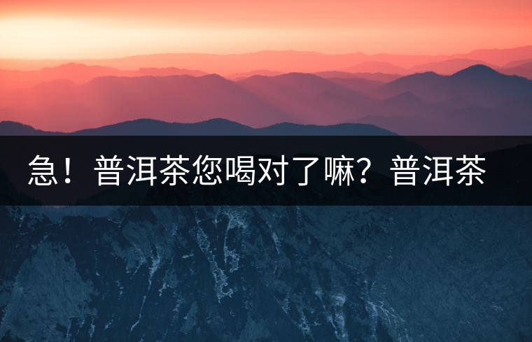 急！普洱茶您喝對(duì)了嘛？普洱茶的十八般武藝