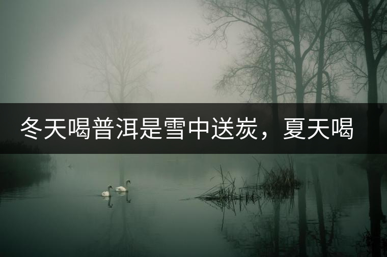 冬天喝普洱是雪中送炭，夏天喝就是火上澆油了？