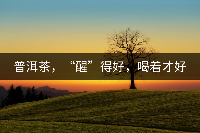 普洱茶，“醒”得好，喝著才好