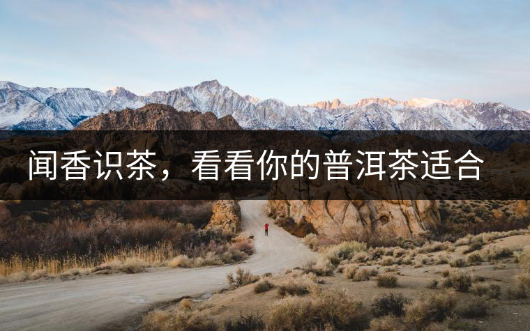 聞香識(shí)茶，看看你的普洱茶適合現(xiàn)在喝還是以后喝？