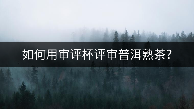 如何用審評杯評審普洱熟茶？