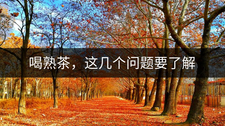 喝熟茶，這幾個問題要了解