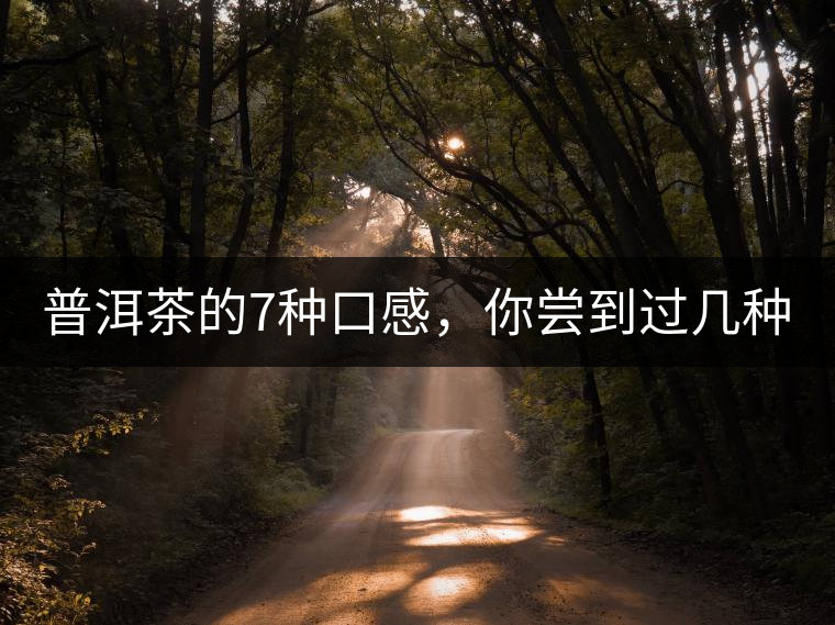普洱茶的7種口感，你嘗到過(guò)幾種？
