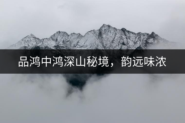 品鴻中鴻深山秘境，韻遠(yuǎn)味濃