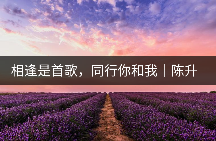 相逢是首歌，同行你和我｜陳升號(hào)與大家相約武漢茶博會(huì)！