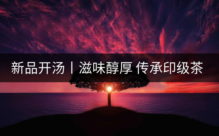 新品開湯丨滋味醇厚 傳承印級茶風韻