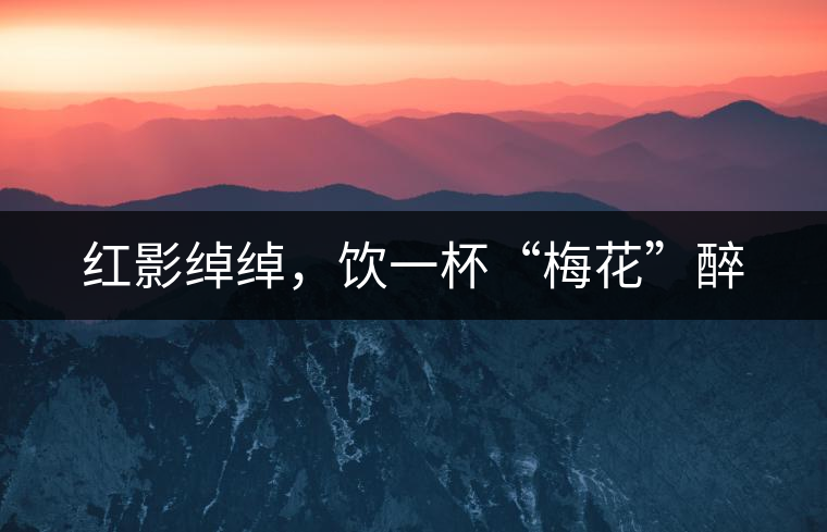 紅影綽綽，飲一杯“梅花”醉