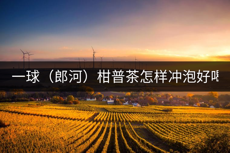 一球（郎河）柑普茶怎樣沖泡好喝？