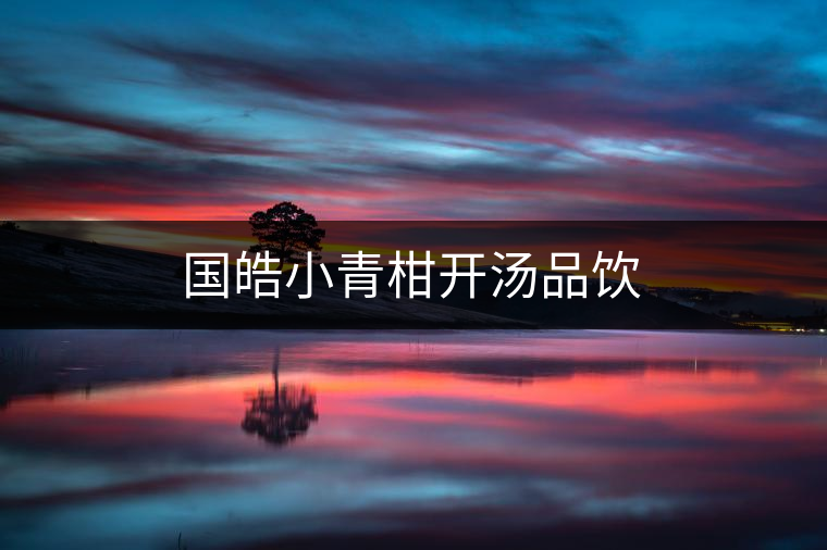 國(guó)皓小青柑開(kāi)湯品飲 國(guó)皓小青柑開(kāi)湯品飲