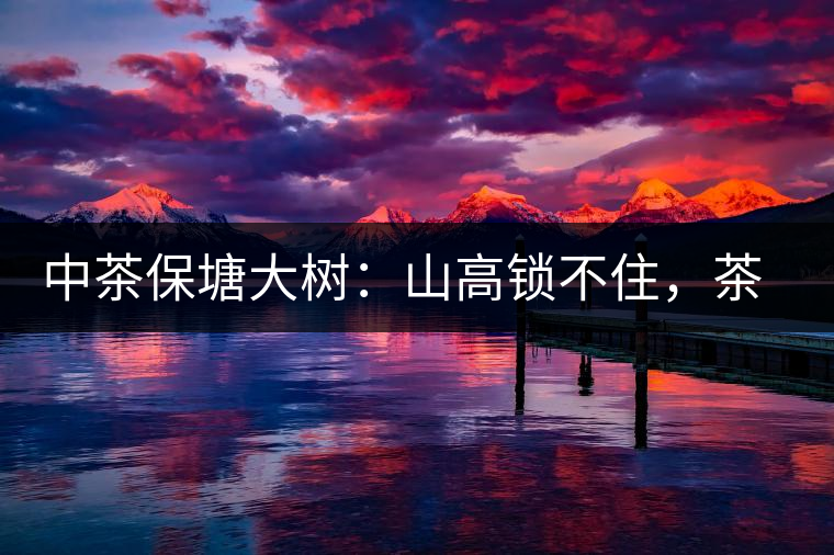 中茶保塘大樹(shù)：山高鎖不住，茶好名自傳