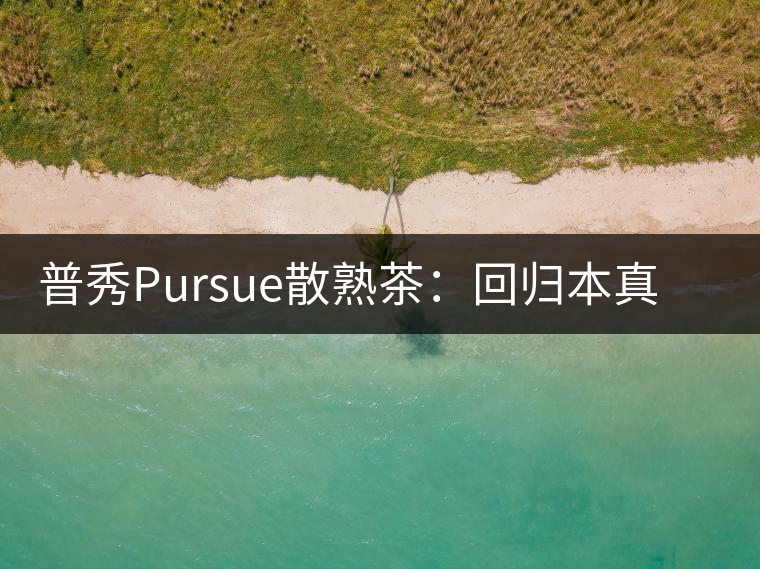 普秀Pursue散熟茶：回歸本真，一款高性價比口糧散熟茶