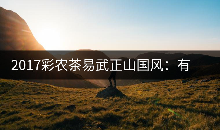 2017彩農(nóng)茶易武正山國風(fēng)：有茶韻，亦有國風(fēng)