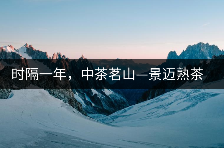 時隔一年，中茶茗山—景邁熟茶有哪些變化