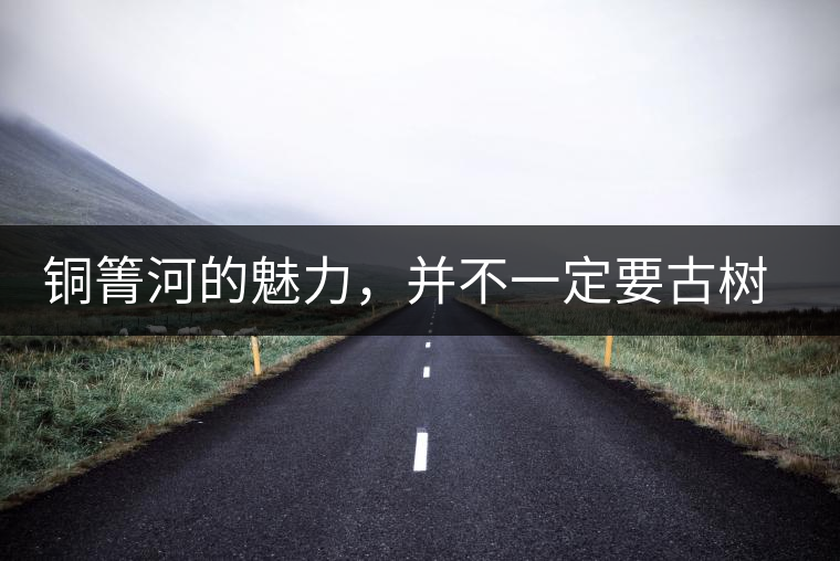 銅箐河的魅力，并不一定要古樹來體現(xiàn)