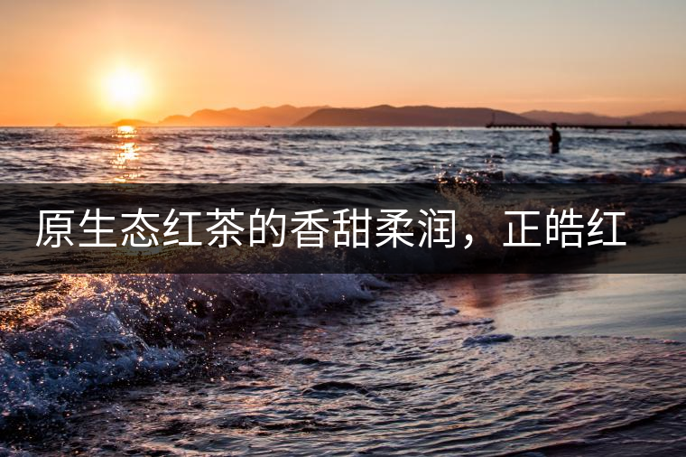 原生態(tài)紅茶的香甜柔潤，正皓紅的魅力無可抵擋！