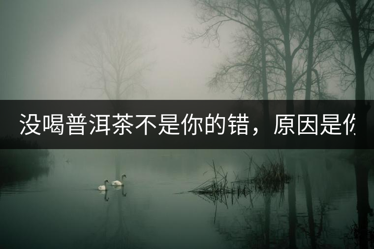 沒喝普洱茶不是你的錯，原因是你還沒遇到Y(jié)671與Y562