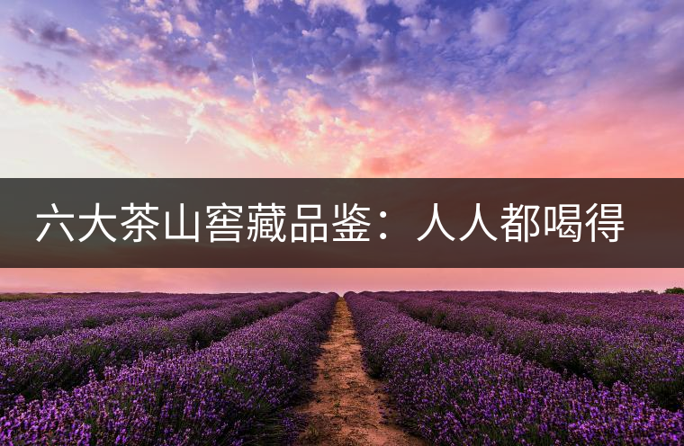 六大茶山窖藏品鑒：人人都喝得起的年份茶