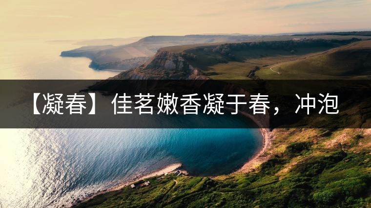 【凝春】佳茗嫩香凝于春，沖泡要訣盡在此