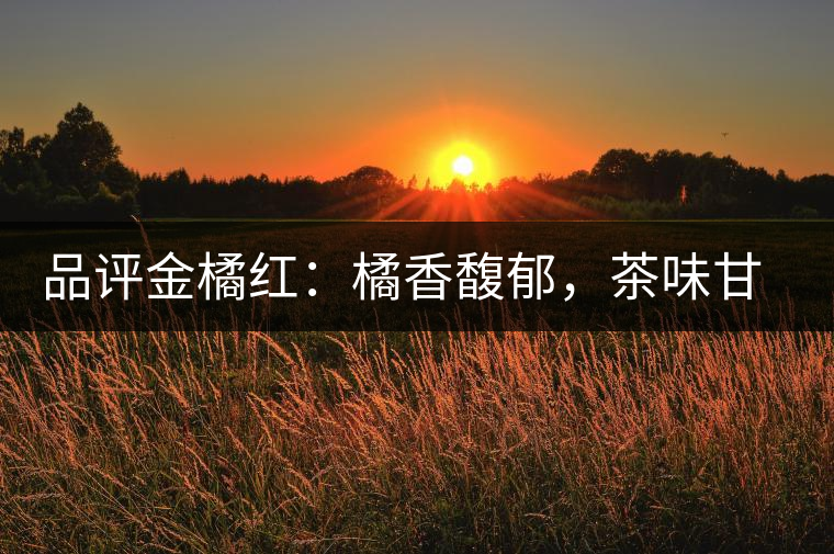 品評(píng)金橘紅：橘香馥郁，茶味甘醇，匠心拼配，臻于至善