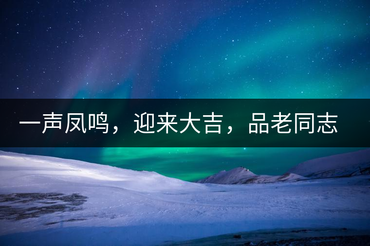 一聲鳳鳴，迎來大吉，品老同志鳳鳴吉至
