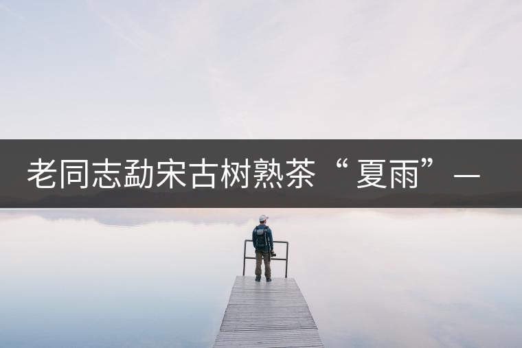 老同志勐宋古樹熟茶“ 夏雨”— 飲茶伴夏，只為您！