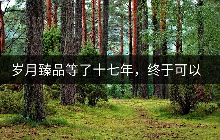 歲月臻品等了十七年，終于可以品味歲月