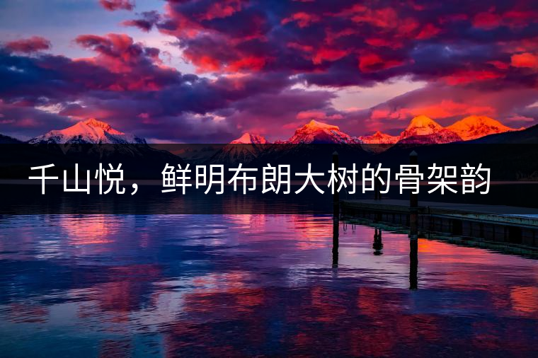 千山悅，鮮明布朗大樹(shù)的骨架韻味