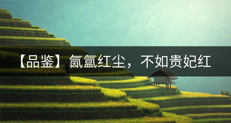 【品鑒】氤氳紅塵，不如貴妃紅一盞