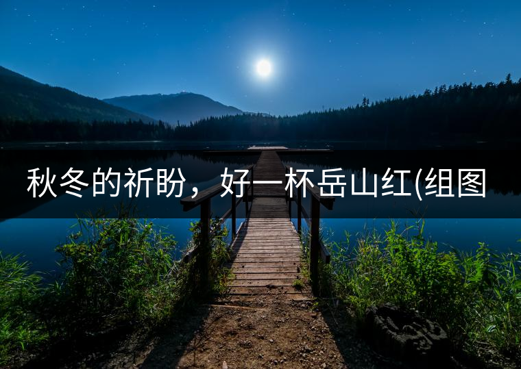 秋冬的祈盼，好一杯岳山紅(組圖)