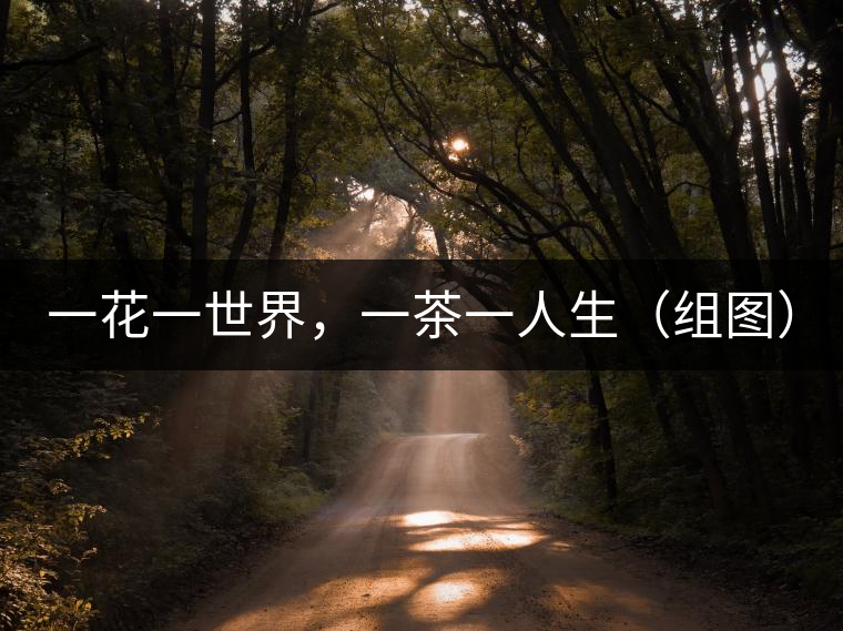 一花一世界，一茶一人生（組圖）