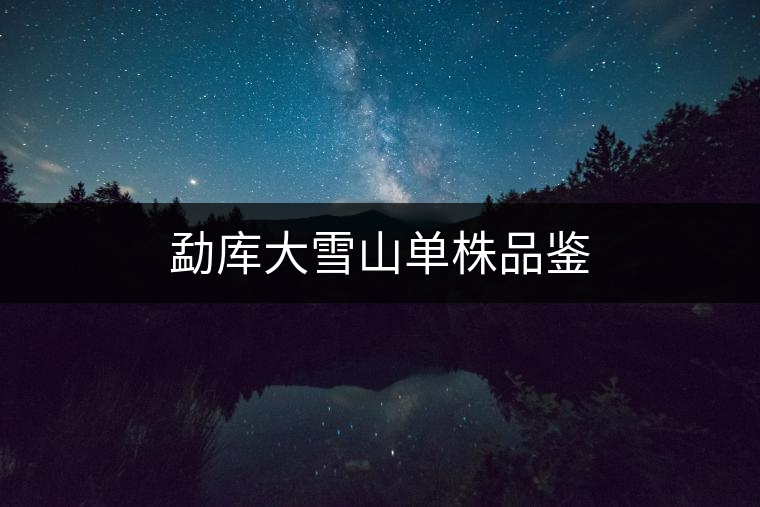 勐庫(kù)大雪山單株品鑒 勐庫(kù)大雪山單株品鑒