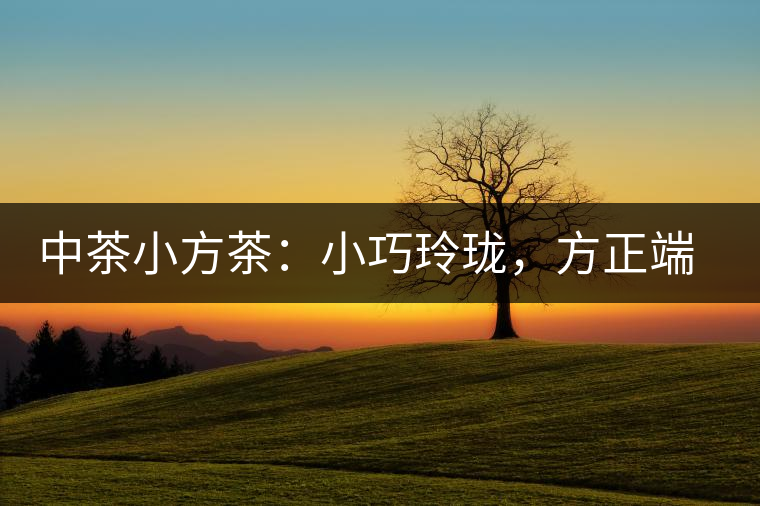 中茶小方茶：小巧玲瓏，方正端莊