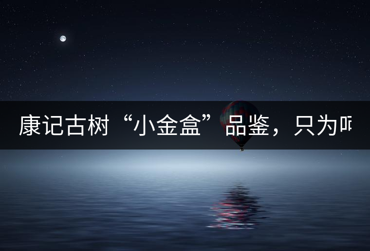 康記古樹“小金盒”品鑒，只為呵護(hù)您的味蕾！