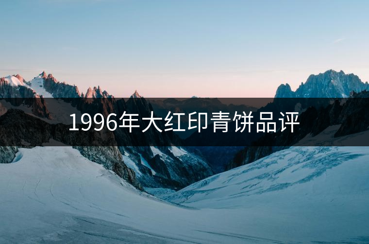 1996年大紅印青餅品評