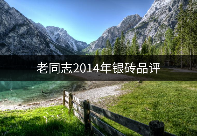 老同志2014年銀磚品評(píng) 老同志2014年銀磚品評(píng)