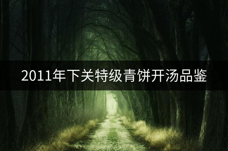 2011年下關(guān)特級(jí)青餅開(kāi)湯品鑒